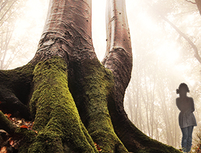portfolio_image_03